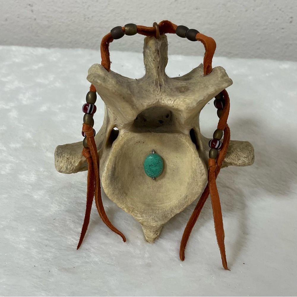 Animal Vertebra Bone Decor Leather Beaded Turquoise Boho Talisman Western Art